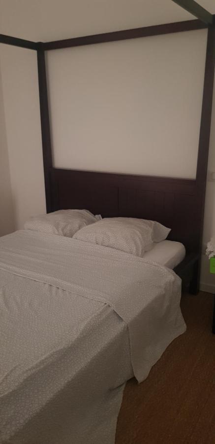 Centre Ville Le Puy-En-Velay Au 1Er Etage Екстериор снимка